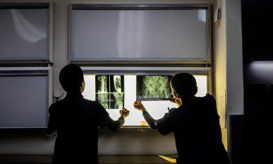 Charlotte Maxeke Hospital Main